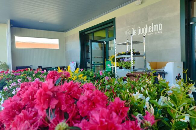 Prodotti del brand Giardino delle Meraviglie esposti presso Agristore De Guglielmo, rivenditore ad Avellino e Montefusco
