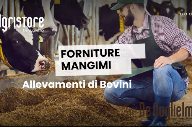 Mangimi per Bovini nel Sannio e in Irpinia Qualit&agrave; Molitoria e Personalizzazione per il tuo Allevamento